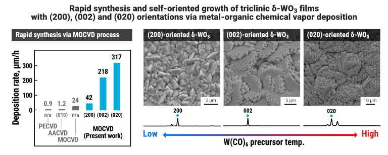Graphical abstract for "Self-oriented growth of tungsten trioxide" 